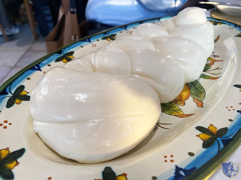 Treccione di mozzarella