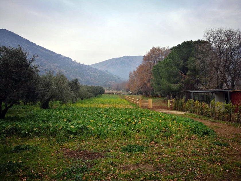 Agriturismo Le Ghiandaie Piana di Monte Verna Gli orti