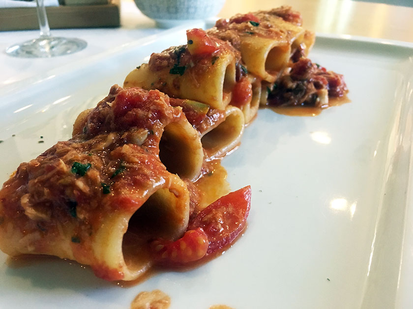 Paccheri al ragù di ricciola