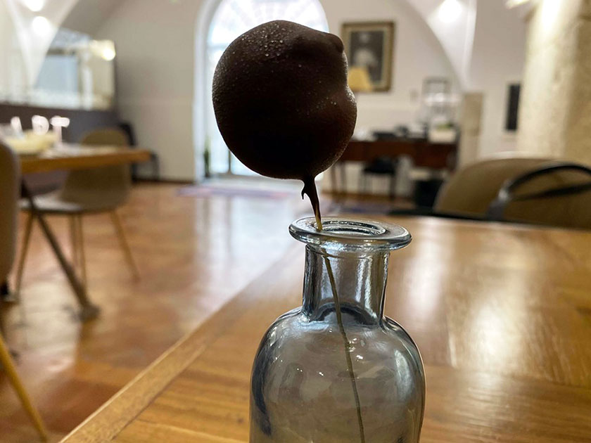 Bon bon al mango frutto della passione e cioccolato fondente