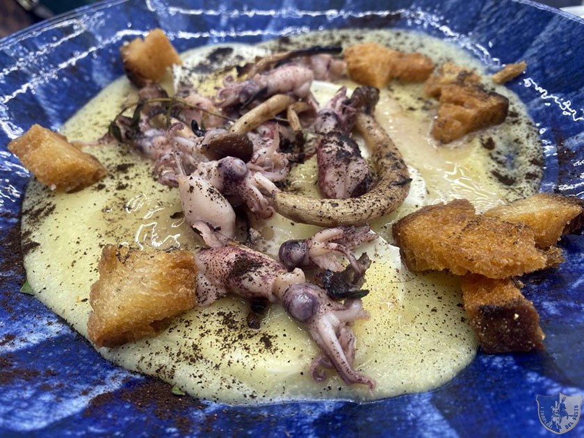 Calamaretti spadellati con funghi alla brace su polenta e mozzarella di bufala