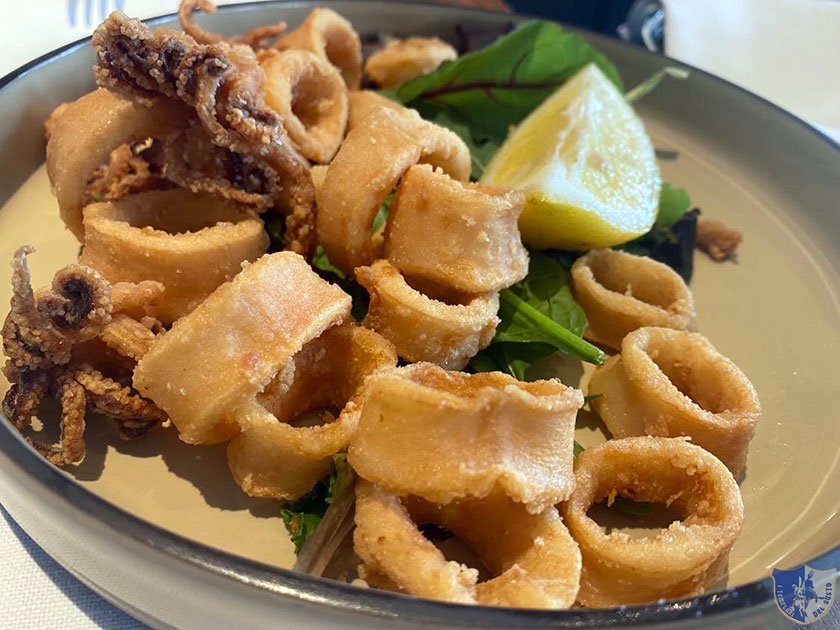 Fritturina di calamari