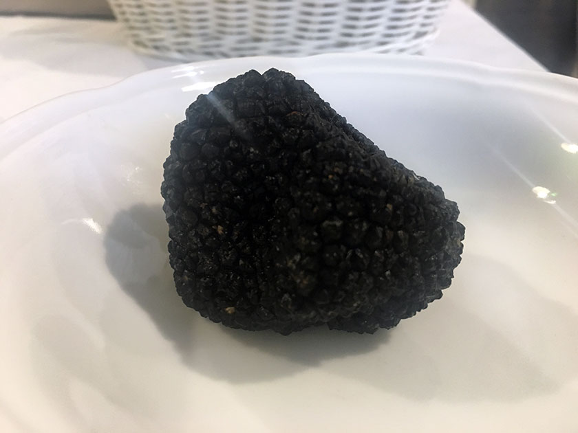 Tartufo nero estivo scorzone di Biccari