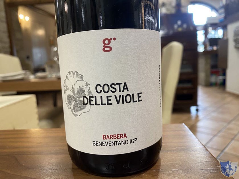 Costa delle Viole Barbera Beneventano IGP di Giovanni Iannucci