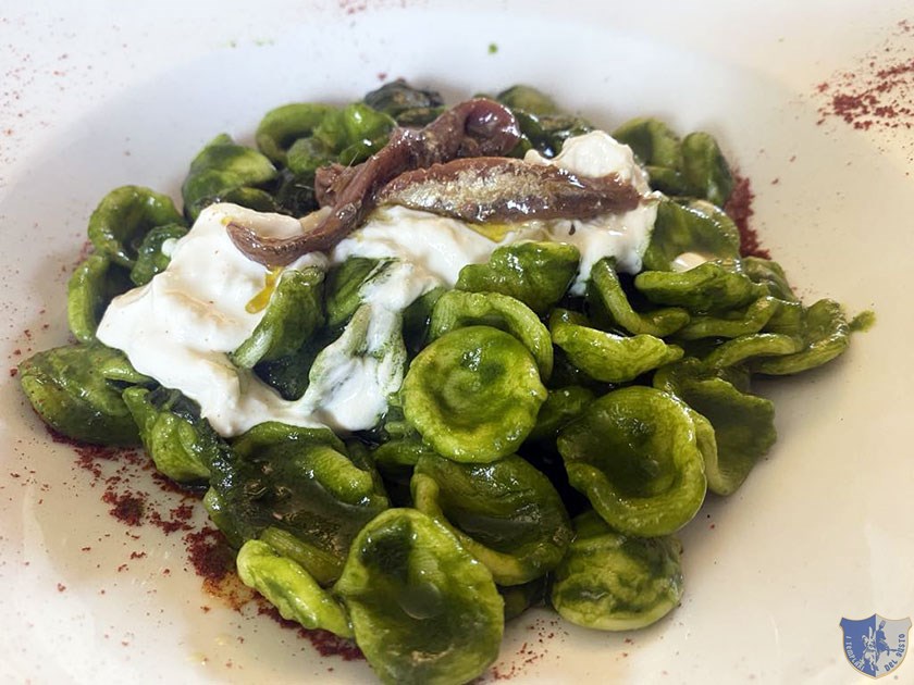 Orecchiette con torzella burrata e alici di cianciolo