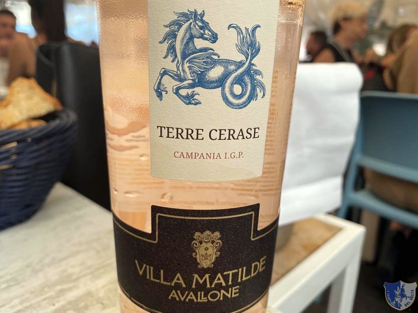 Rosato Terre Cerase di Villa Matilde