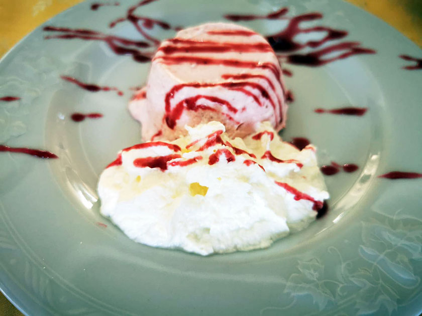 Panna cotta alla crema di visciole