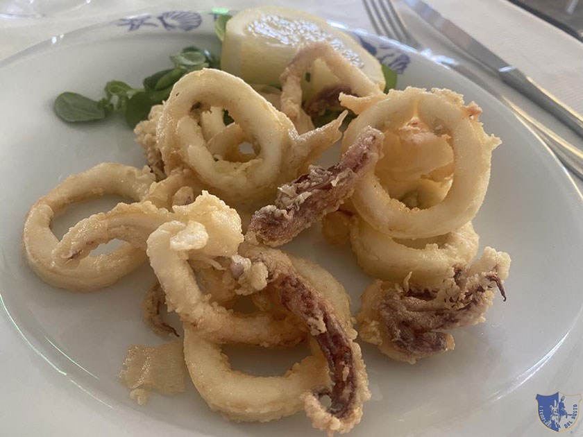 Fritturina di calamari